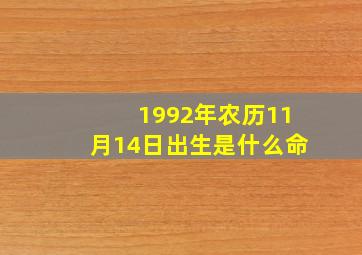 1992年农历11月14日出生是什么命