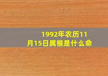 1992年农历11月15日属猴是什么命