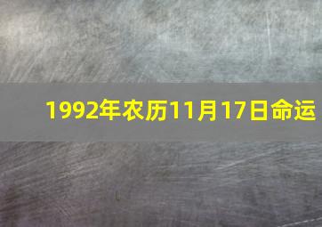 1992年农历11月17日命运