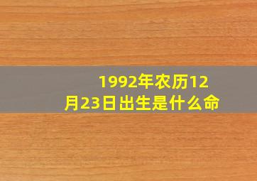 1992年农历12月23日出生是什么命