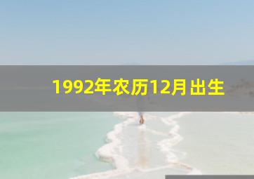 1992年农历12月出生