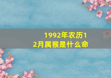 1992年农历12月属猴是什么命