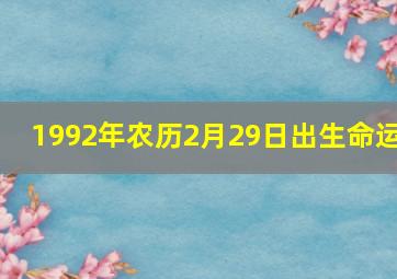 1992年农历2月29日出生命运