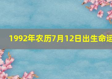 1992年农历7月12日出生命运