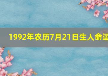 1992年农历7月21日生人命运