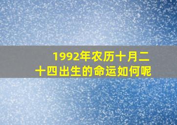 1992年农历十月二十四出生的命运如何呢