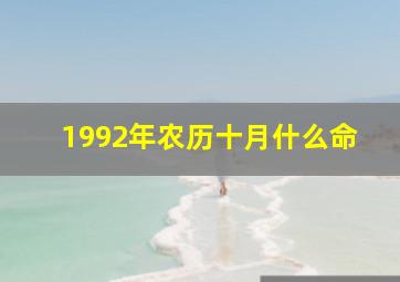 1992年农历十月什么命