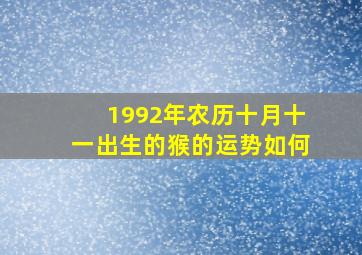 1992年农历十月十一出生的猴的运势如何