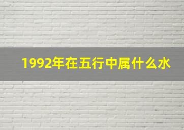 1992年在五行中属什么水