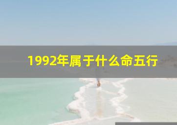 1992年属于什么命五行