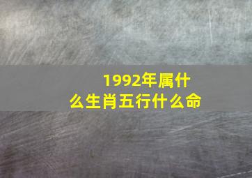 1992年属什么生肖五行什么命