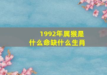 1992年属猴是什么命缺什么生肖