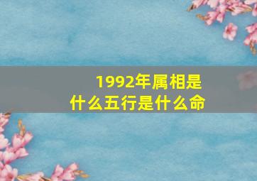 1992年属相是什么五行是什么命