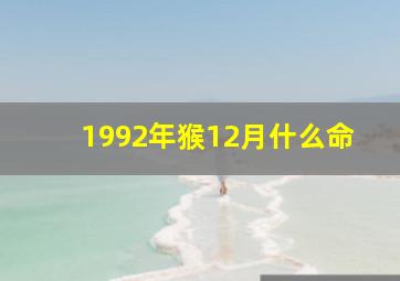 1992年猴12月什么命