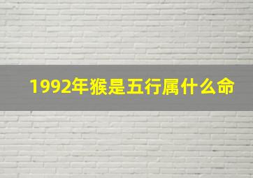 1992年猴是五行属什么命