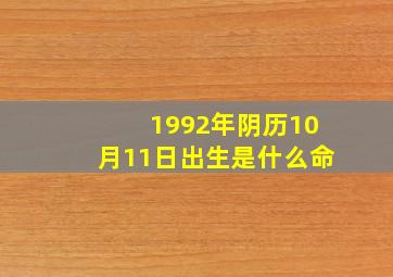 1992年阴历10月11日出生是什么命