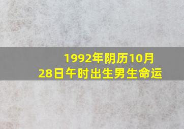 1992年阴历10月28日午时出生男生命运