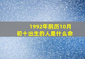 1992年阴历10月初十出生的人是什么命