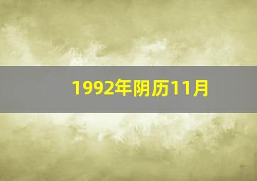 1992年阴历11月