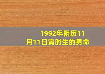 1992年阴历11月11日寅时生的男命