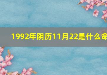 1992年阴历11月22是什么命