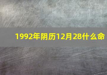 1992年阴历12月28什么命