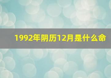 1992年阴历12月是什么命