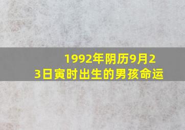 1992年阴历9月23日寅时出生的男孩命运