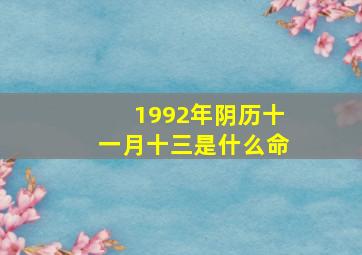 1992年阴历十一月十三是什么命