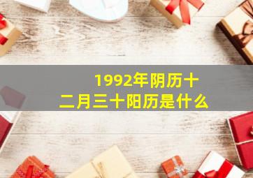 1992年阴历十二月三十阳历是什么