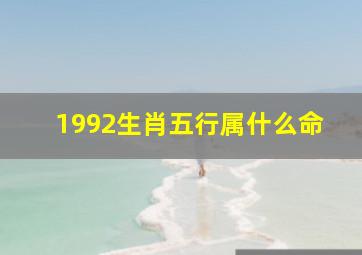 1992生肖五行属什么命