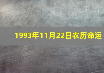 1993年11月22日农历命运