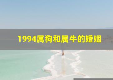 1994属狗和属牛的婚姻