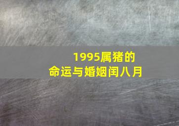 1995属猪的命运与婚姻闰八月