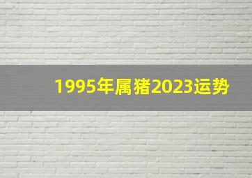 1995年属猪2023运势