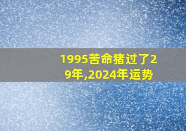 1995苦命猪过了29年,2024年运势