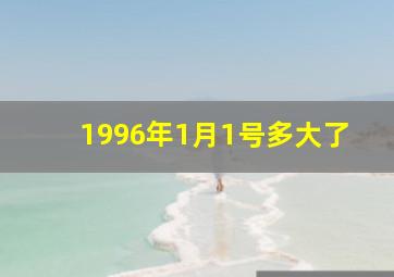 1996年1月1号多大了