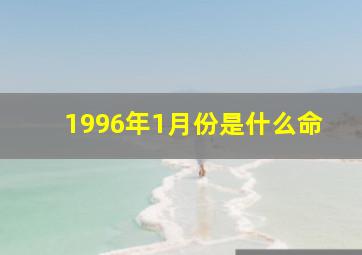 1996年1月份是什么命