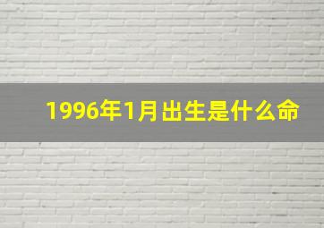 1996年1月出生是什么命