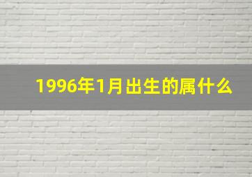 1996年1月出生的属什么