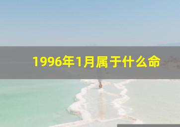 1996年1月属于什么命