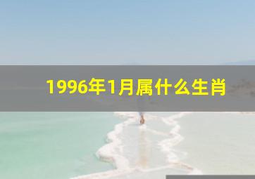 1996年1月属什么生肖