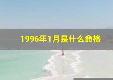 1996年1月是什么命格