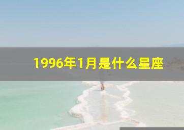 1996年1月是什么星座