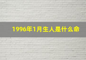 1996年1月生人是什么命