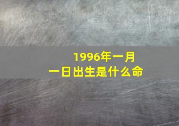 1996年一月一日出生是什么命