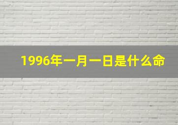 1996年一月一日是什么命