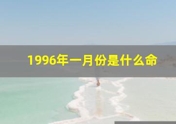 1996年一月份是什么命