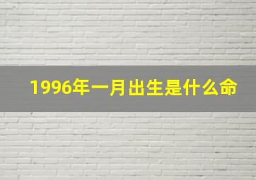 1996年一月出生是什么命