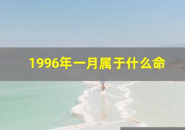 1996年一月属于什么命